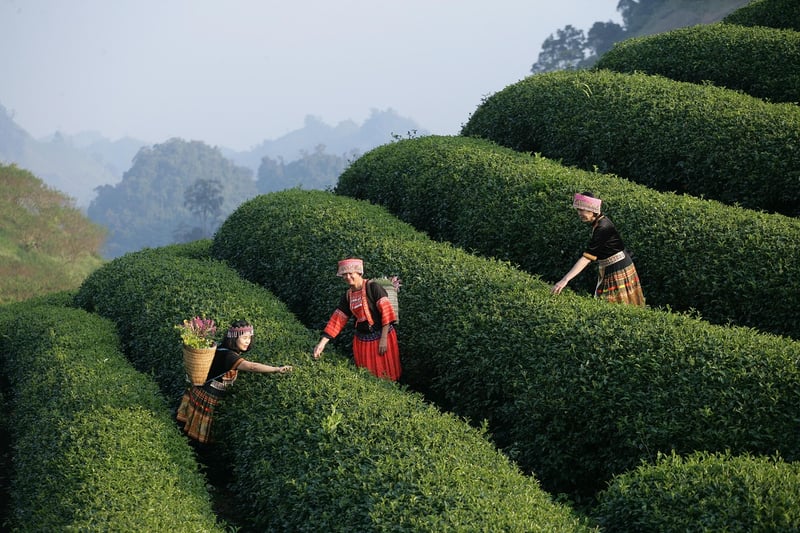 Art & Heritage Tours